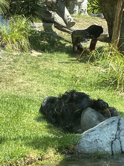 UrAveragePenis @uraveragepenis cover picture