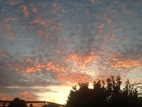 Vanessa @v_baby cover picture