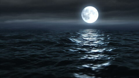 Vanessa4you @vanessa4you cover picture