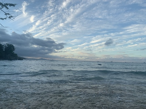 Vanessa @vanessabae cover picture