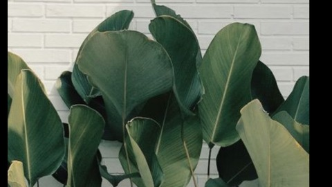 Vanessa @vanessabby_ cover picture