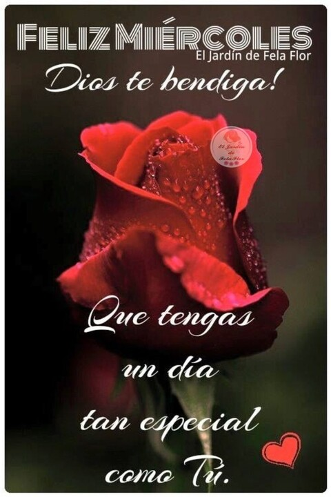 u11086225 @vanessas cover picture