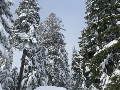 V @veexvixen cover picture