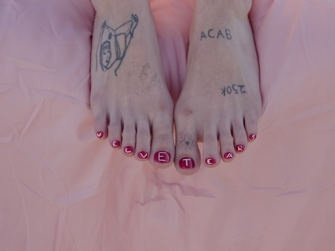 VELVETEARS @velvetea cover picture