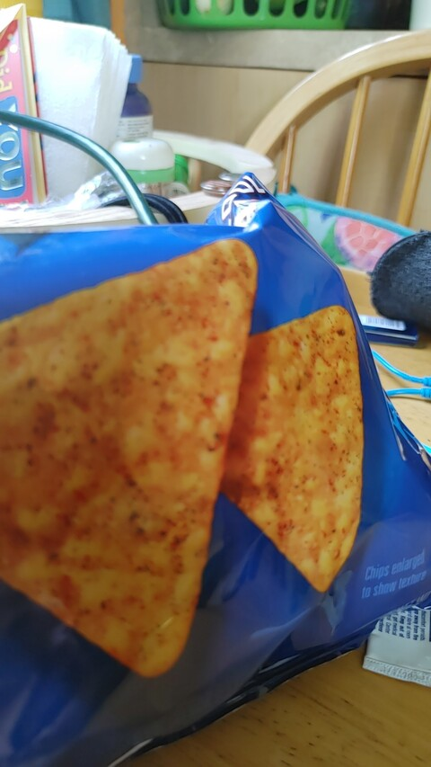 Willber @venendetti cover picture