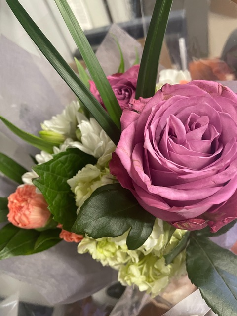 Venus @venusmoon7 cover picture