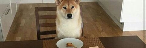 sky @venustraphobe cover picture