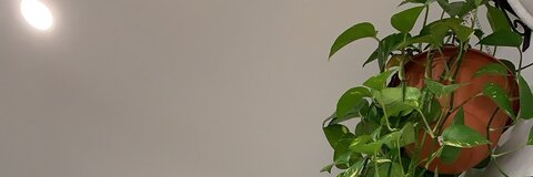 🪐 @veraaaa cover picture