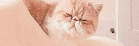 Ꭾ ♡ @vermilionbabe cover picture