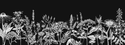 Veronica @veronica-mari cover picture