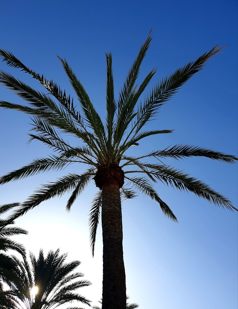 Dan @vettedan cover picture