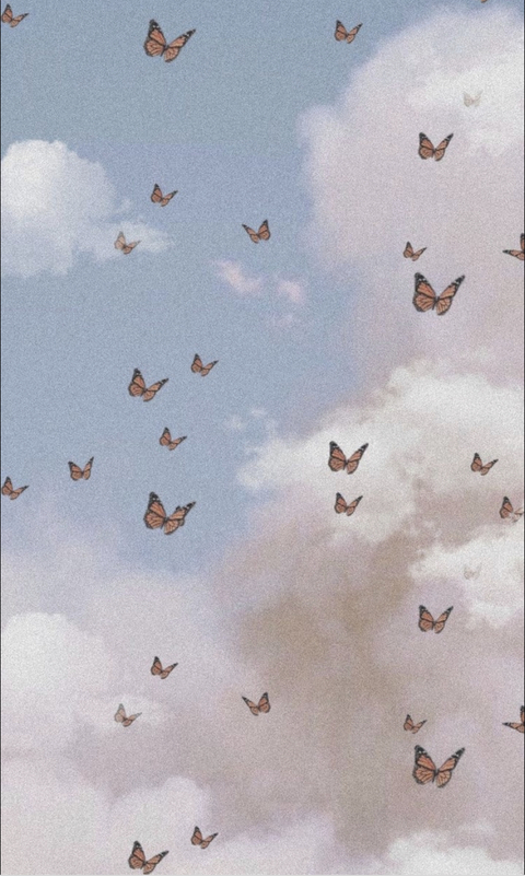 Sassy Samie @vibora cover picture