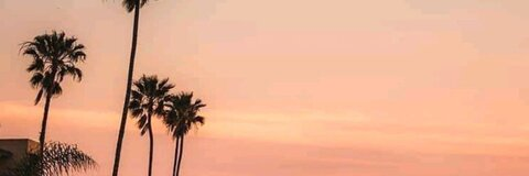 Victoria May @victoria_may cover picture