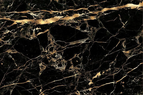 a @viewerdiscretion cover picture