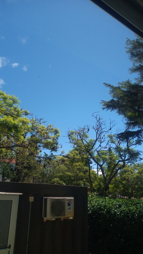 _diego_ @vilat_diego cover picture