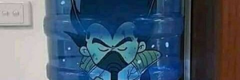 DHG @vinctagohbaby cover picture