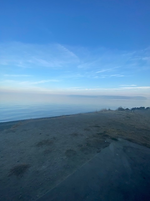 violet @violet_marie cover picture