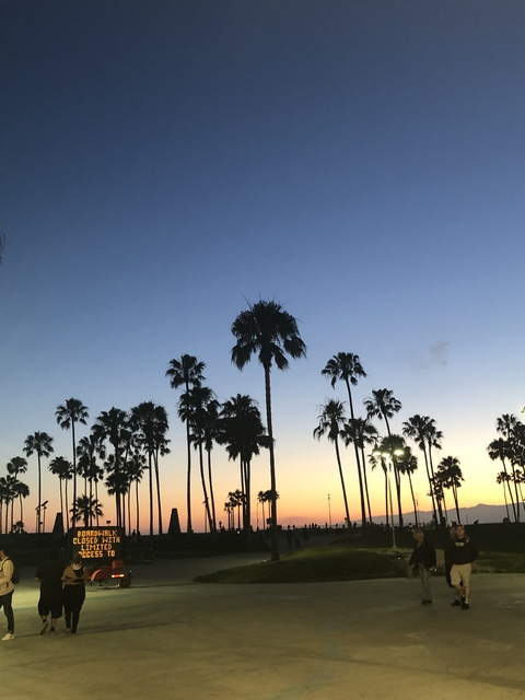 Violet @violetbebe cover picture