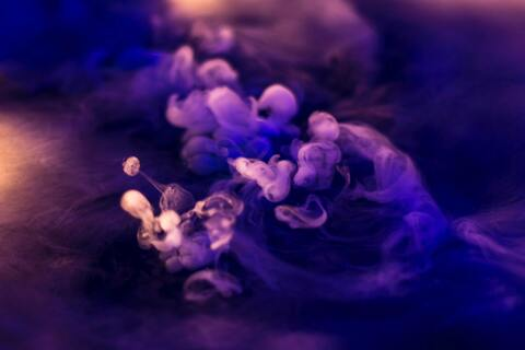 Violet @violetdae cover picture