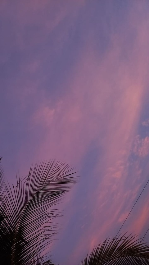 Virgo Fairy 🧚🏼‍♀️ @virgofairy98 cover picture