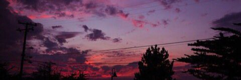 Bella @vixenbunny03 cover picture