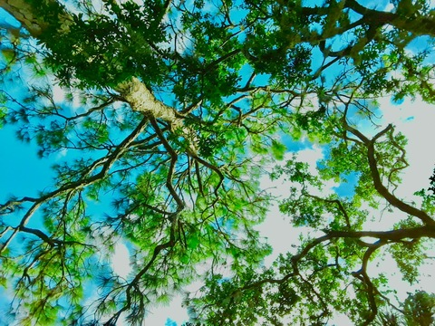 VMarie♡ @vmarie2216 cover picture