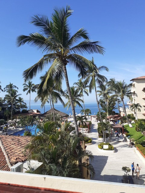 v_nenaee @vnaari cover picture