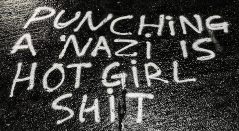 Vulpes vulgaris @vulpes cover picture