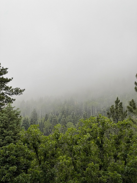 Waitimnotpatrick @waitimnotpatrick cover picture