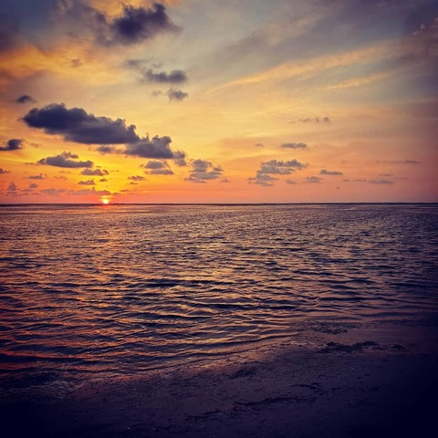 Josh Noe @wakethefallen cover picture