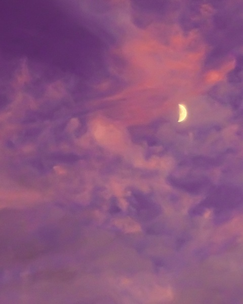 K ♡ @wavybabey cover picture