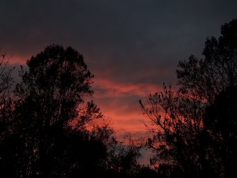 Bunny @weightlesssun cover picture