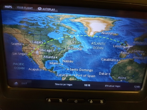 Wellytoots @wellytoots cover picture