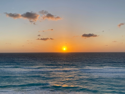 Willlie @wetwilllie cover picture