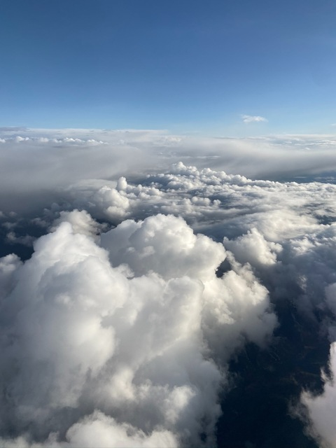 Stevie 💗 @whateverits2009 cover picture