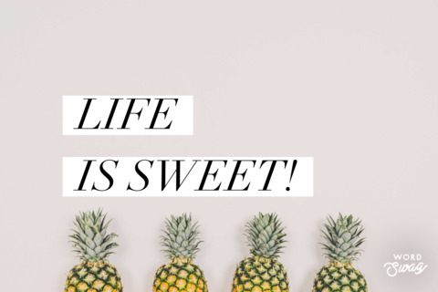 Whitepeach @whitepeach cover picture