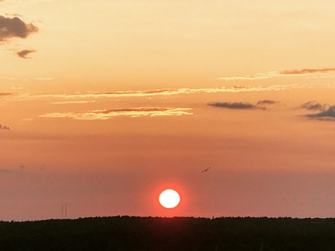 Why They Call Me Daddy 😈🍆😈 @whytheycallmedaddy cover picture