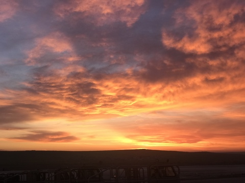 William Osborne @william_2946 cover picture