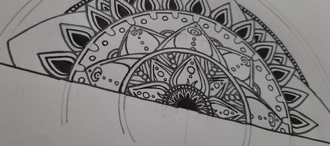 Willow Trie @willow.trie cover picture