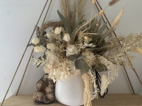 Willows Wilson @willowswilson cover picture