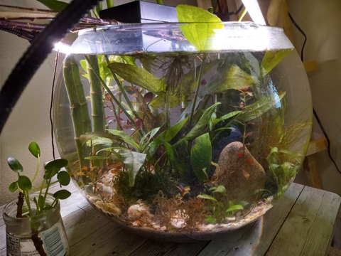 Winter Hill @winterhill303 cover picture