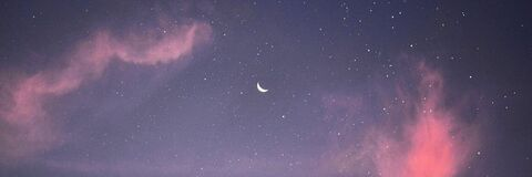 Marie @witchbish cover picture