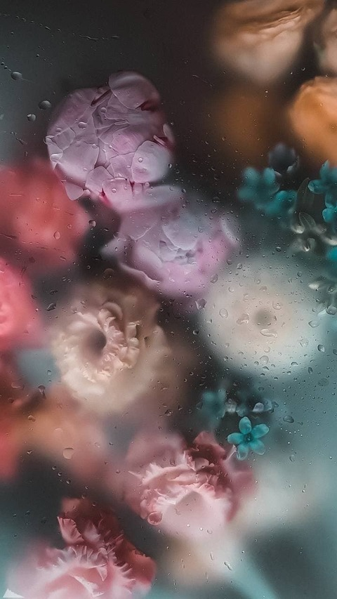 Emily Taylor @wmily cover picture