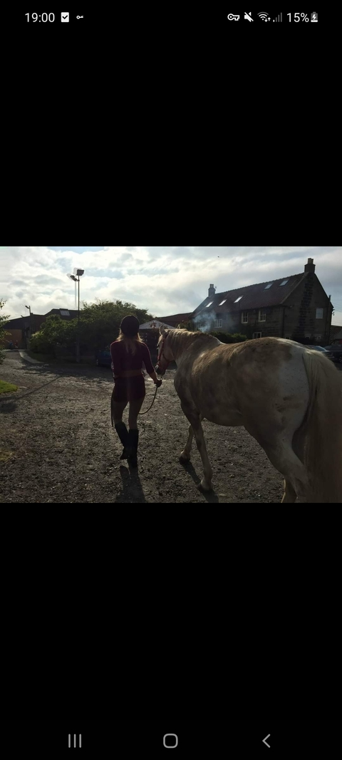 RachelTaylor @wolfchick cover picture