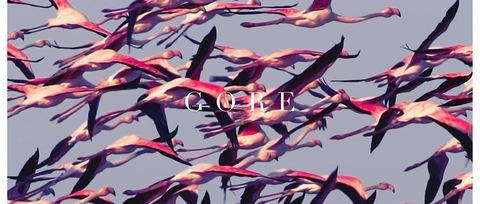 WolfGang Jet ♊️ @wolfgangjetski cover picture