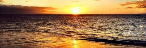 Wolf @wolfma cover picture