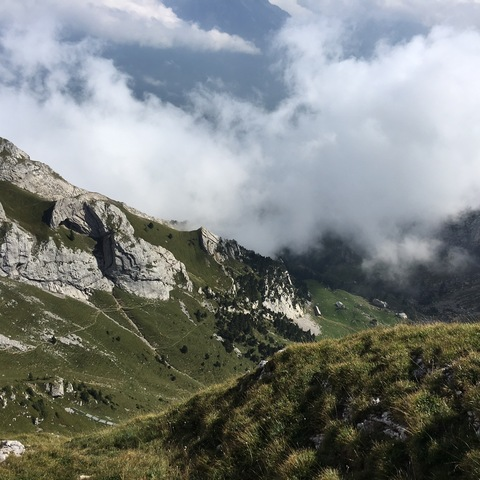 Wolfpup Takashi @wolfpup_takashi cover picture