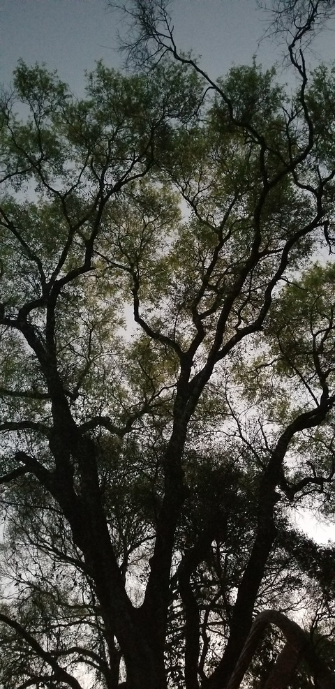 Jay the Woodsman @woodsman96 cover picture