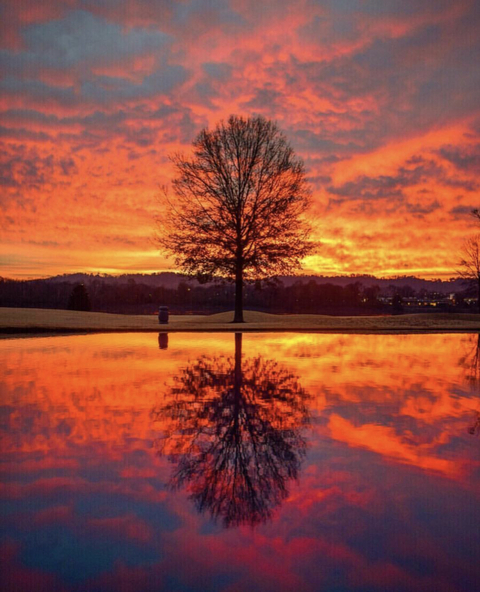 Matt @worthlessfatguy cover picture