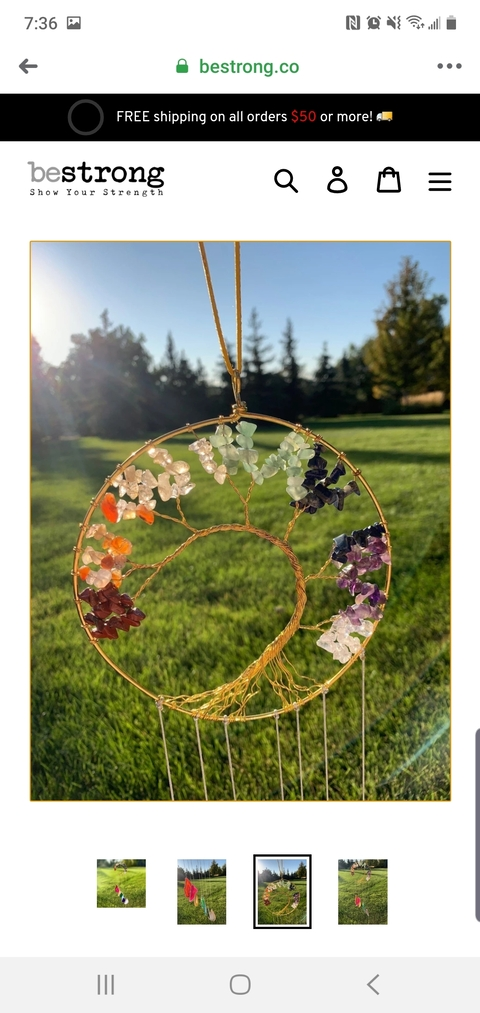 Carlie bear @wtf_carlie94 cover picture